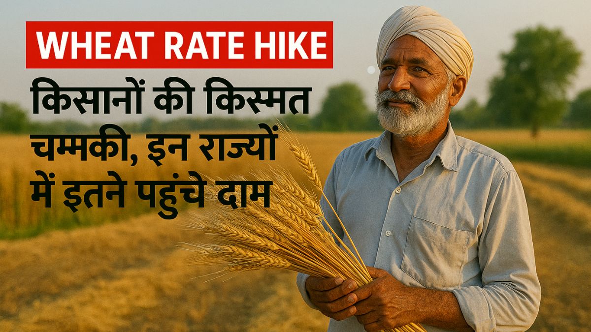 wheat rate hike