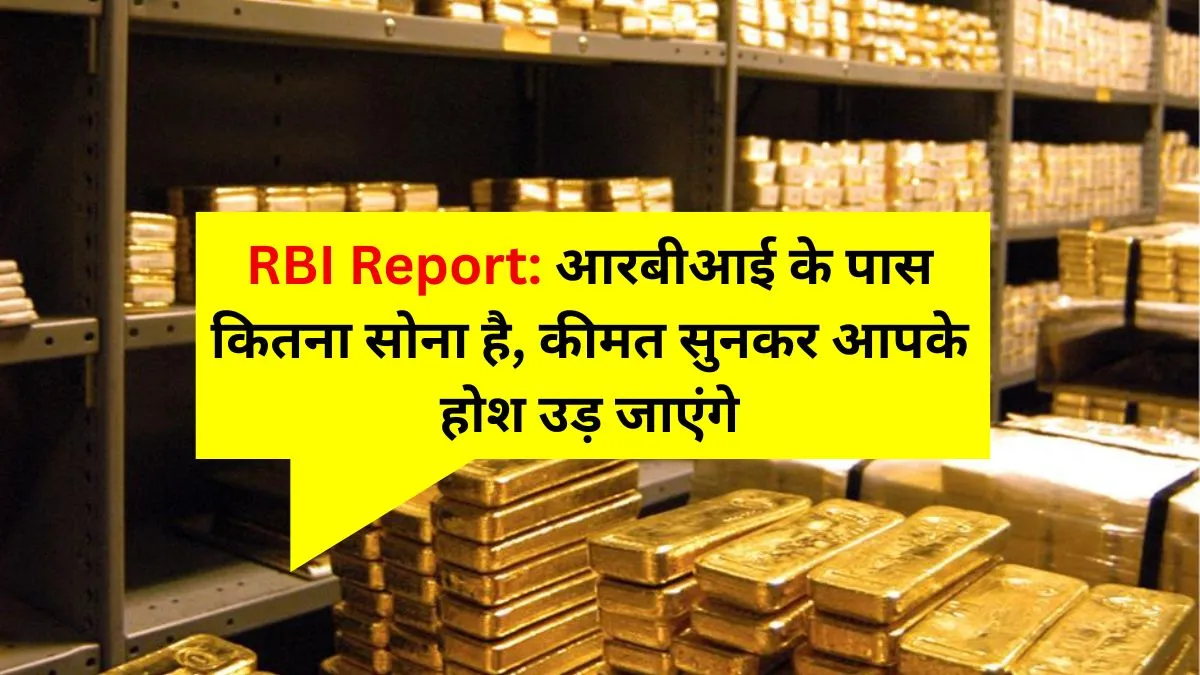 RBI Report