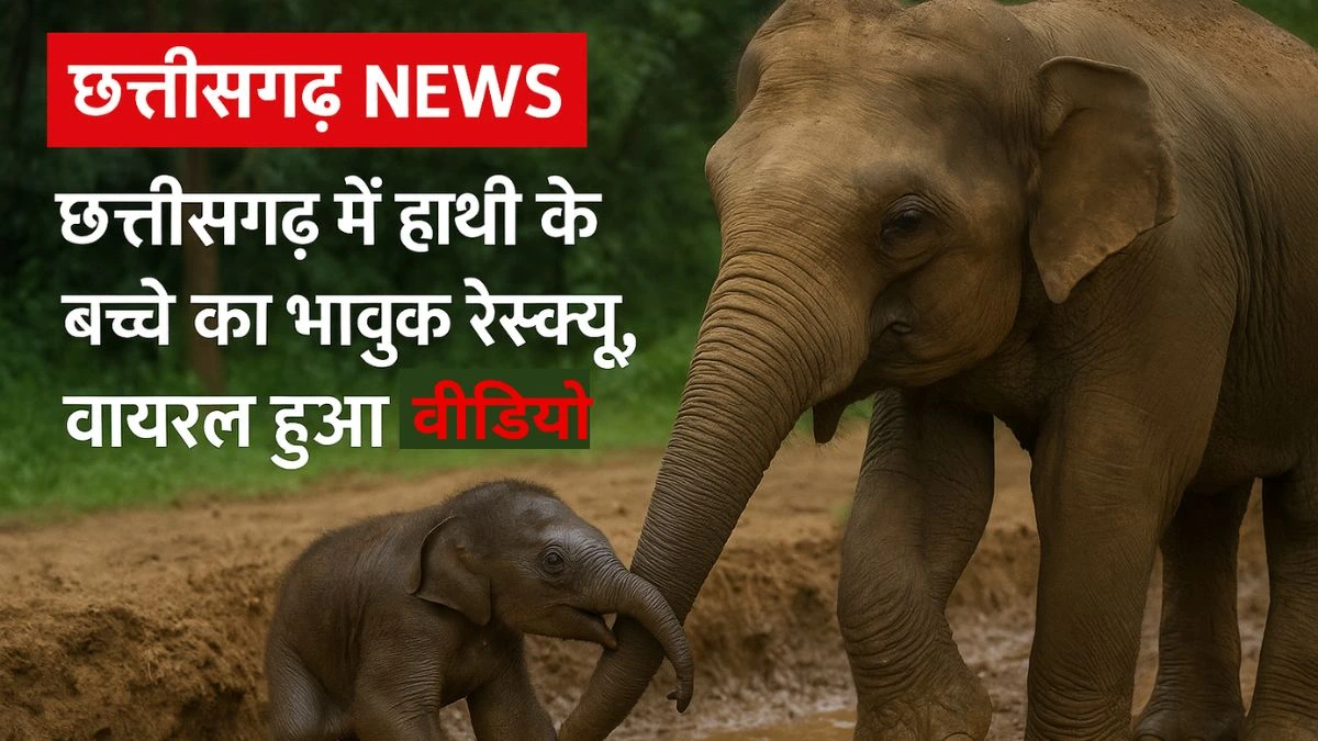 छत्तीसगढ़ video
