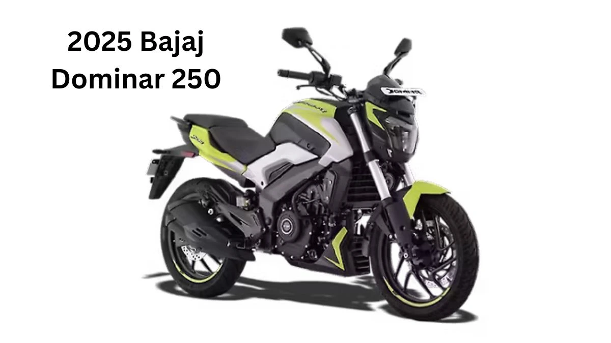 2025 Bajaj Dominar 250